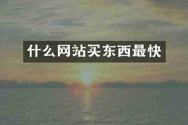 什么网站买东西最快