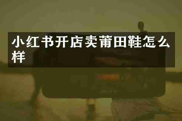 小红书开店卖莆田鞋怎么样