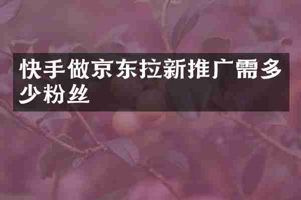 快手做京东拉新推广需多少粉丝