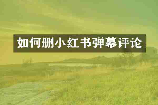 如何删小红书弹幕评论