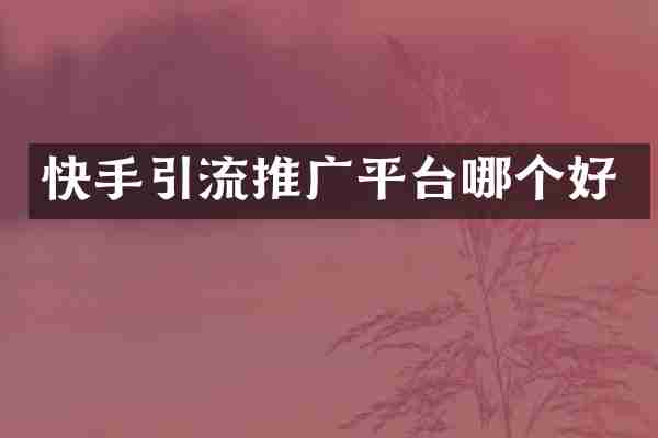 快手引流推广平台哪个好