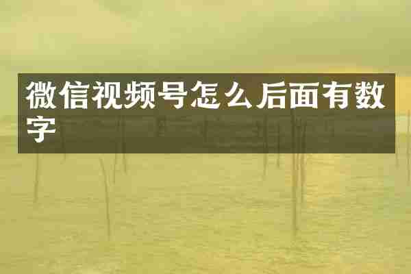 微信视频号怎么后面有数字