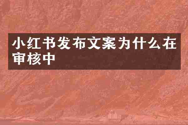 小红书发布文案为什么在审核中