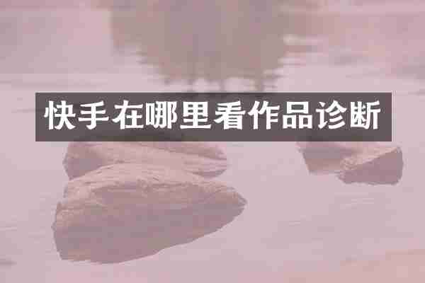 快手在哪里看作品诊断