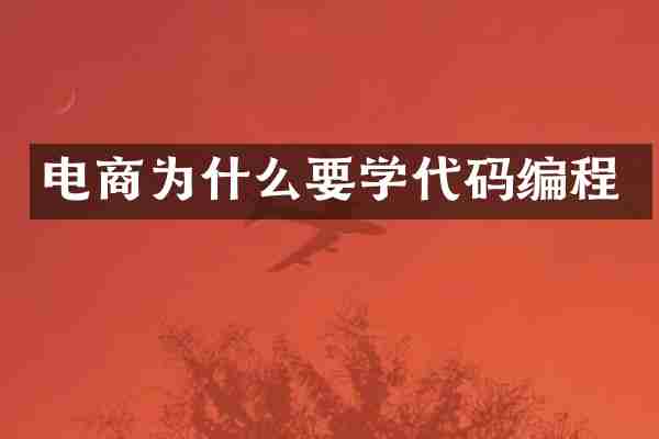 电商为什么要学代码编程