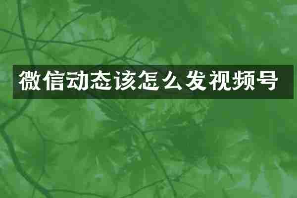 微信动态该怎么发视频号