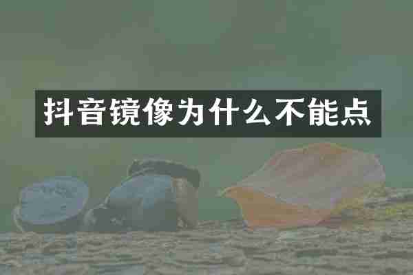 抖音镜像为什么不能点