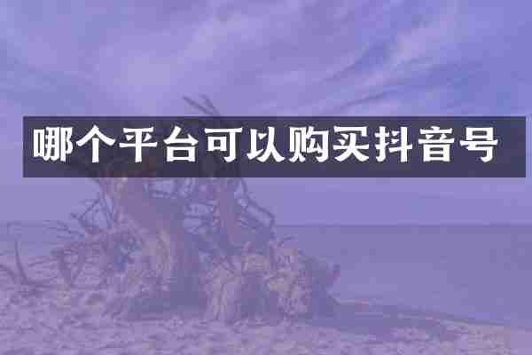 哪个平台可以购买抖音号