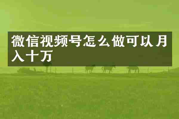 微信视频号怎么做可以月入十万