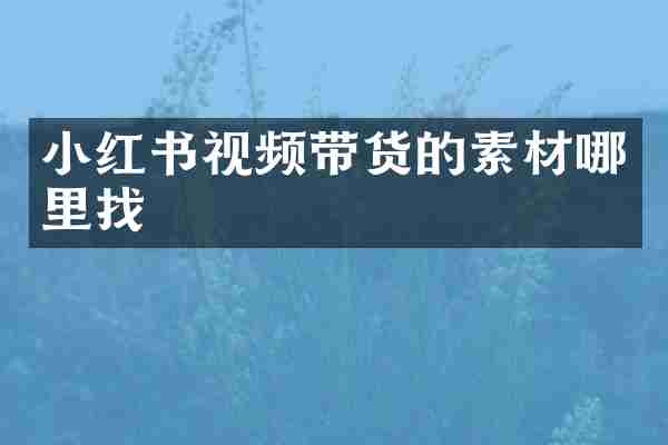 小红书视频带货的素材哪里找