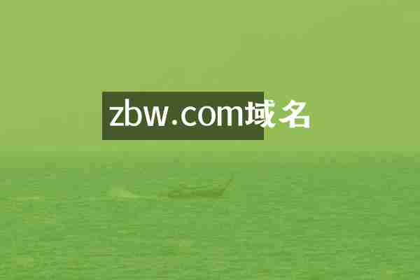 zbw.com域名