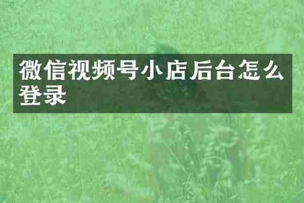 微信视频号小店后台怎么登录