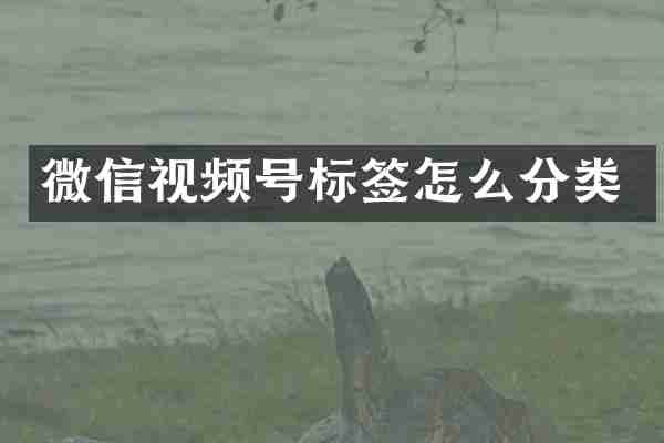 微信视频号标签怎么分类