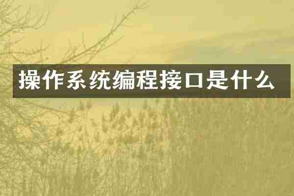 操作系统编程接口是什么