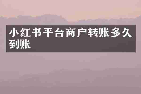 小红书平台商户转账多久到账