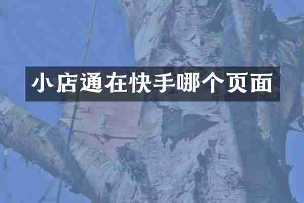 小店通在快手哪个页面