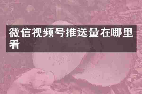 微信视频号推送量在哪里看
