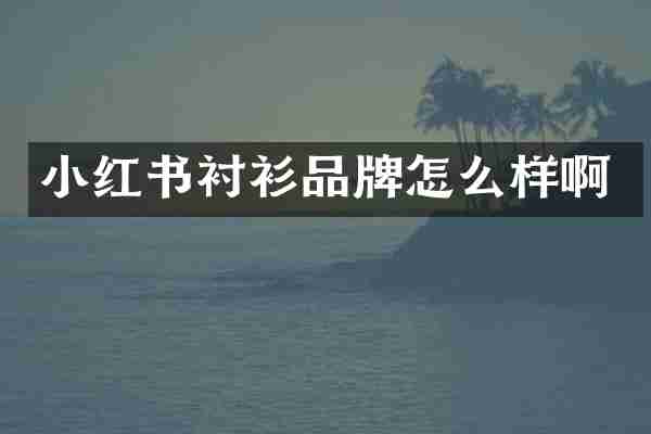 小红书衬衫品牌怎么样啊