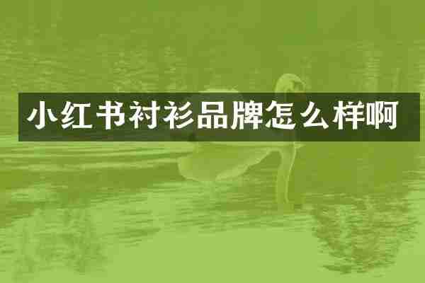 小红书衬衫品牌怎么样啊