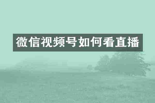 微信视频号如何看直播