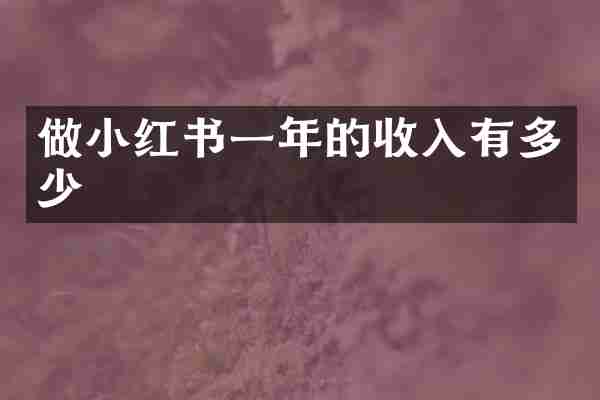 做小红书一年的收入有多少
