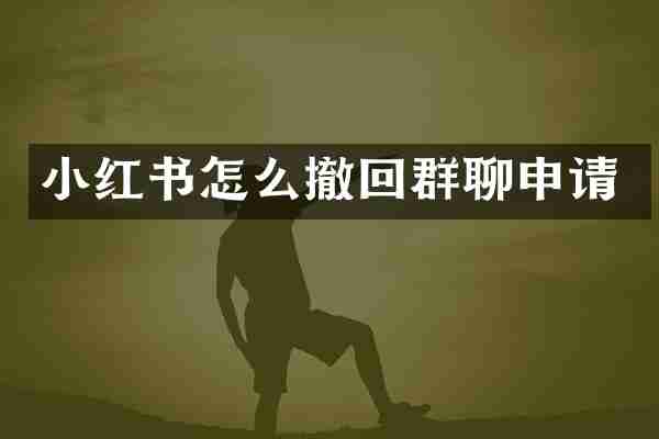 小红书怎么撤回群聊申请