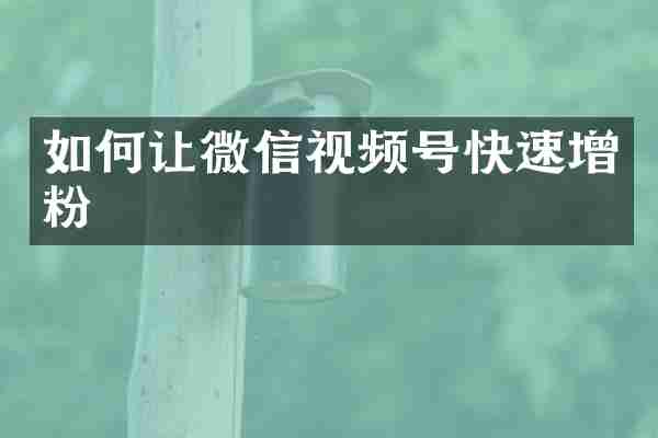 如何让微信视频号快速增粉