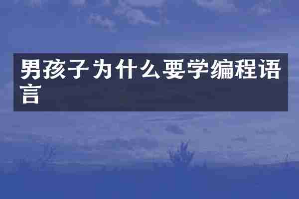 男孩子为什么要学编程语言