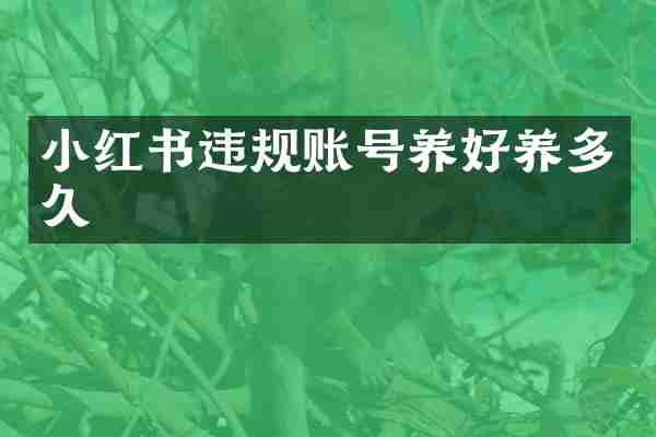 小红书违规账号养好养多久