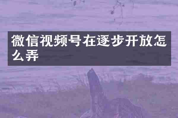 微信视频号在逐步开放怎么弄