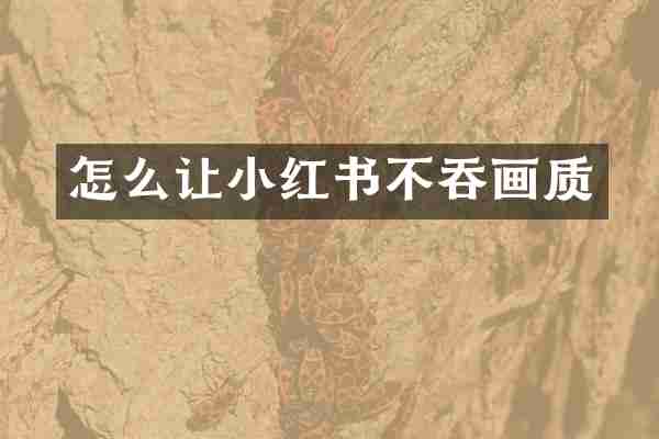怎么让小红书不吞画质