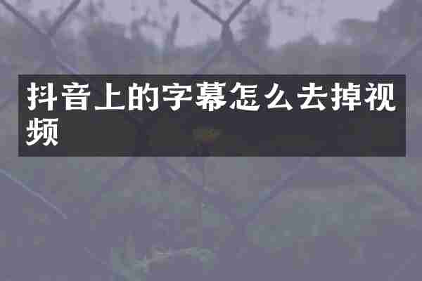 抖音上的字幕怎么去掉视频