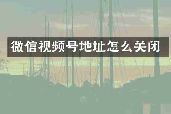 微信视频号地址怎么关闭