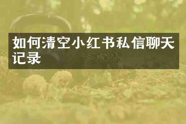 如何清空小红书私信聊天记录