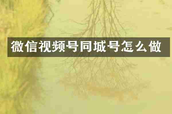 微信视频号同城号怎么做