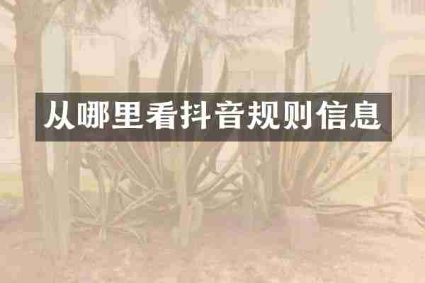 从哪里看抖音规则信息