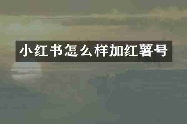 小红书怎么样加红薯号