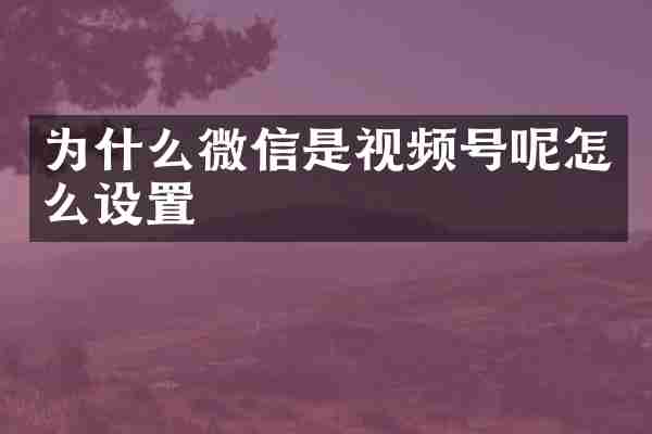 为什么微信是视频号呢怎么设置