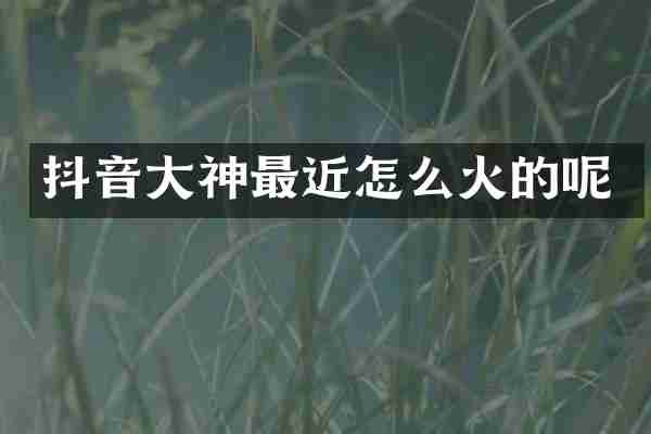 抖音大神最近怎么火的呢