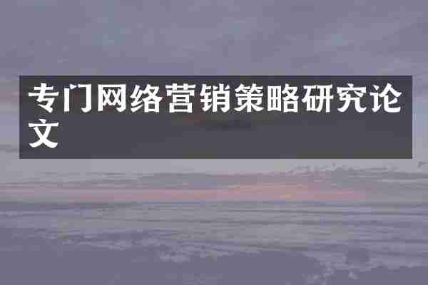 专门网络营销策略研究论文