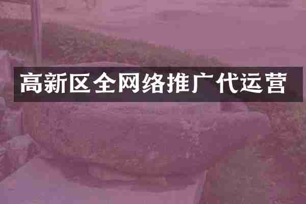高新区全网络推广代运营