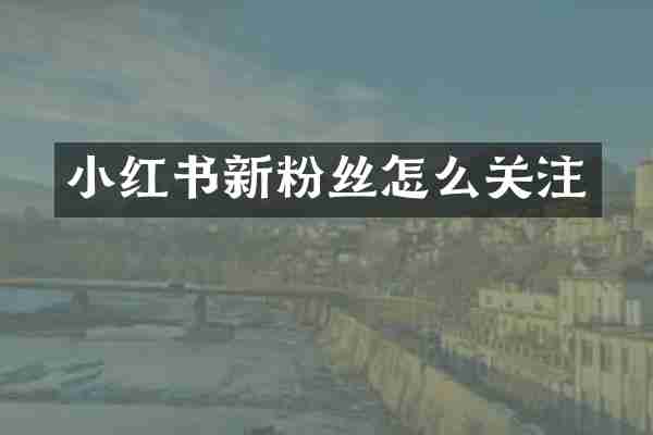 小红书新粉丝怎么关注