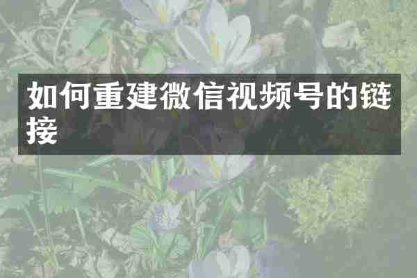 如何重建微信视频号的链接