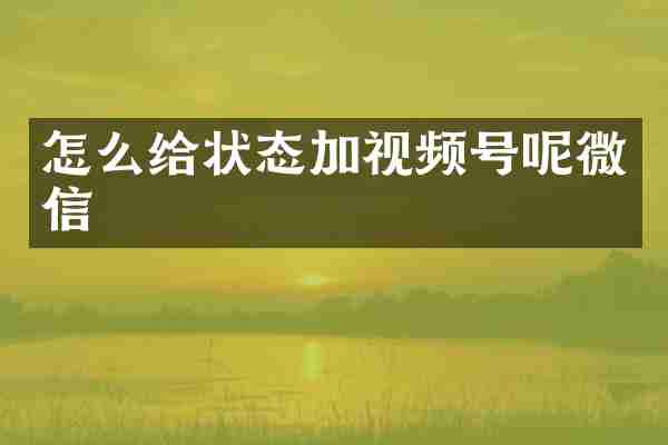 怎么给状态加视频号呢微信