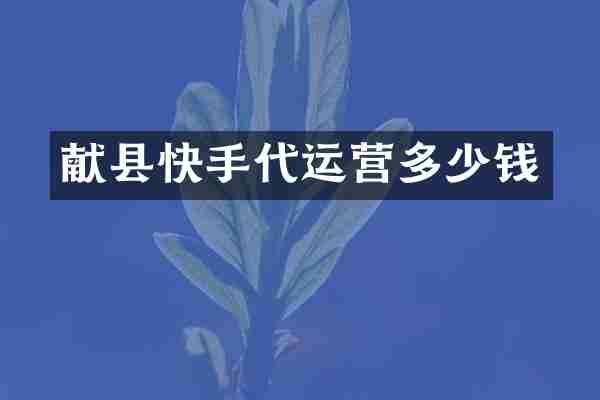 献县快手代运营多少钱