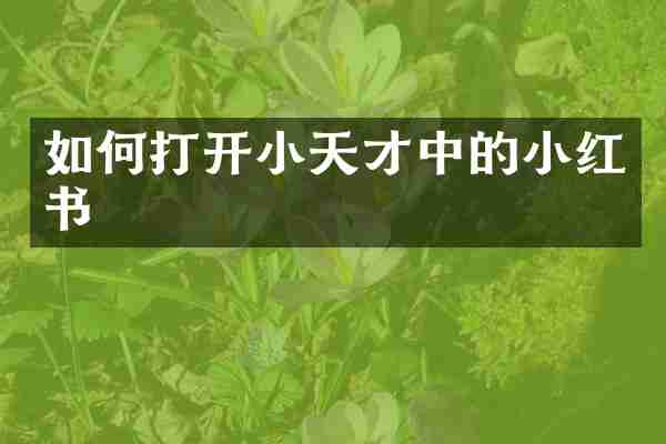 如何打开小天才中的小红书