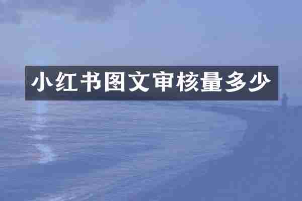小红书图文审核量多少