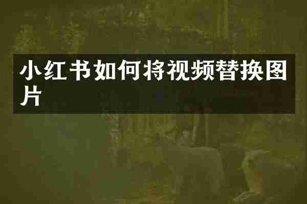 小红书如何将视频替换图片