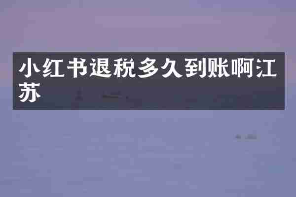 小红书退税多久到账啊江苏