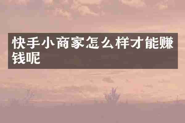 快手小商家怎么样才能赚钱呢